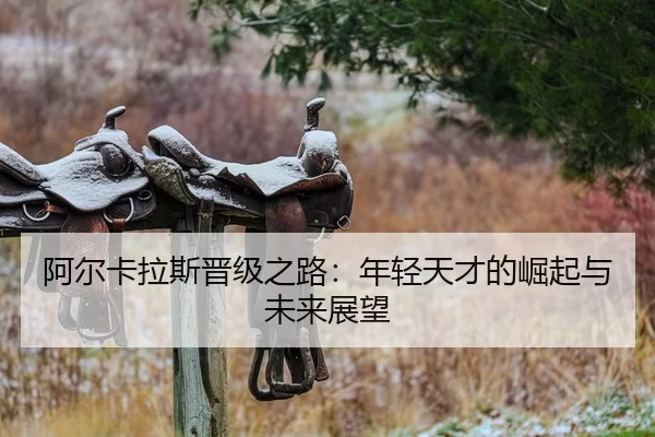 阿尔卡拉斯晋级之路：年轻天才的崛起与未来展望